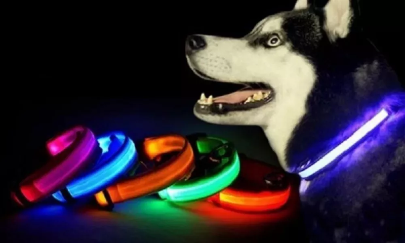 Collar Reflectivo Perro Mascotas Luz Led